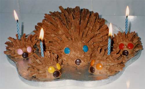 A chocolate hedgehog family decorated with real milk chocolate flakes and Smarties.
