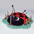 A chocolate sponge ladybird on icing 'grass'.